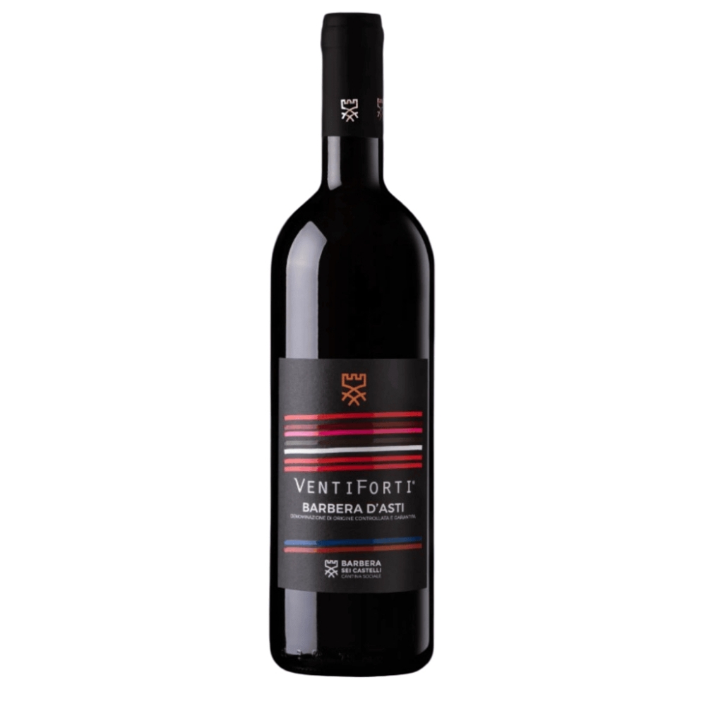 Immagine di Barbera D'Asti DOCG Venti Forti di Barbera Sei Castelli 75cl 2022