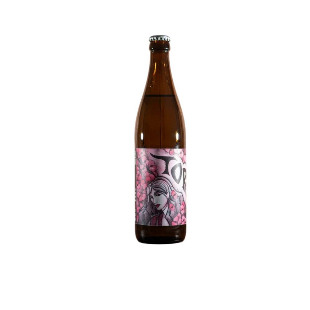 Immagine di TORVA- Irish Stout  50cl