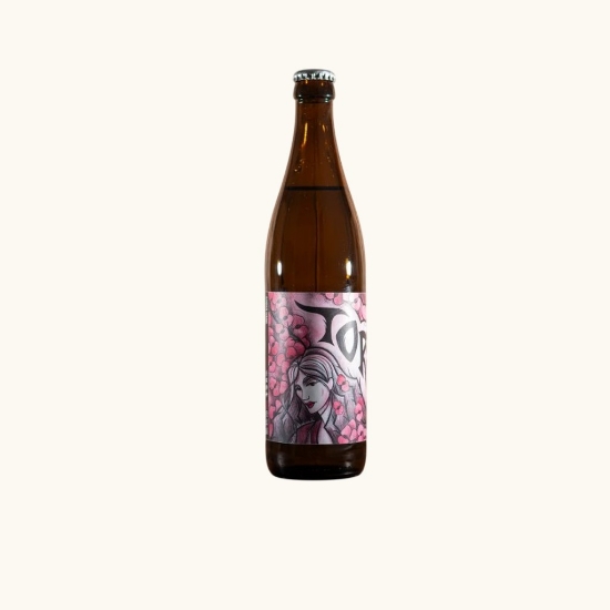 Immagine di TORVA- Irish Stout  50cl