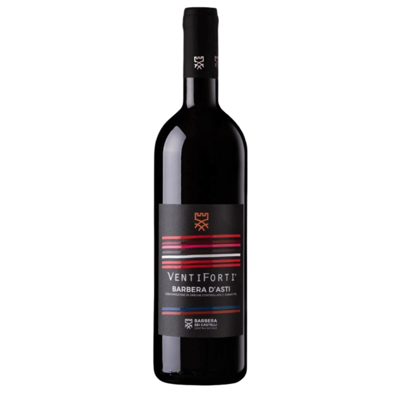 Immagine di Barbera D'Asti DOCG Venti Forti di Barbera Sei Castelli 75cl 2022